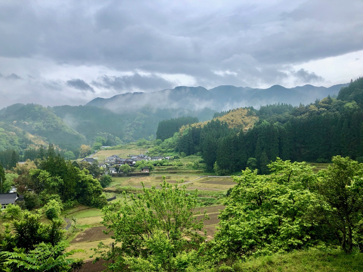 岩野用水コース の風景