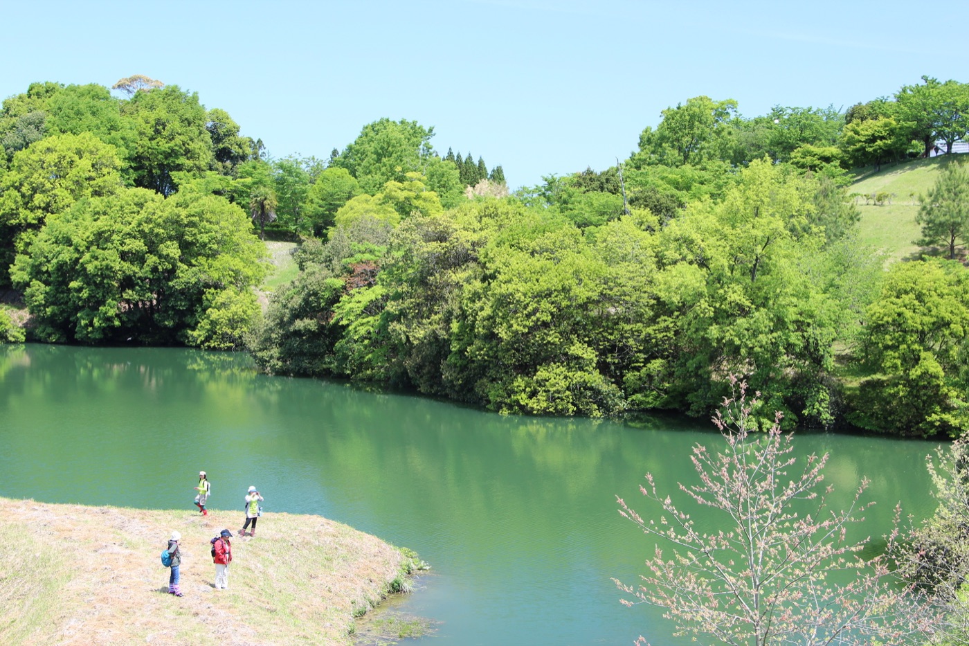 堅志田城下ため池コース の風景