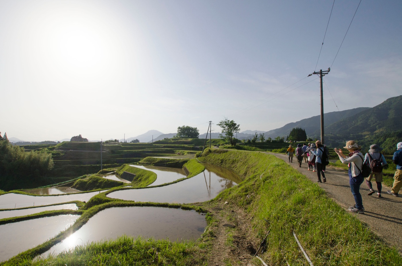 下福良コース の風景