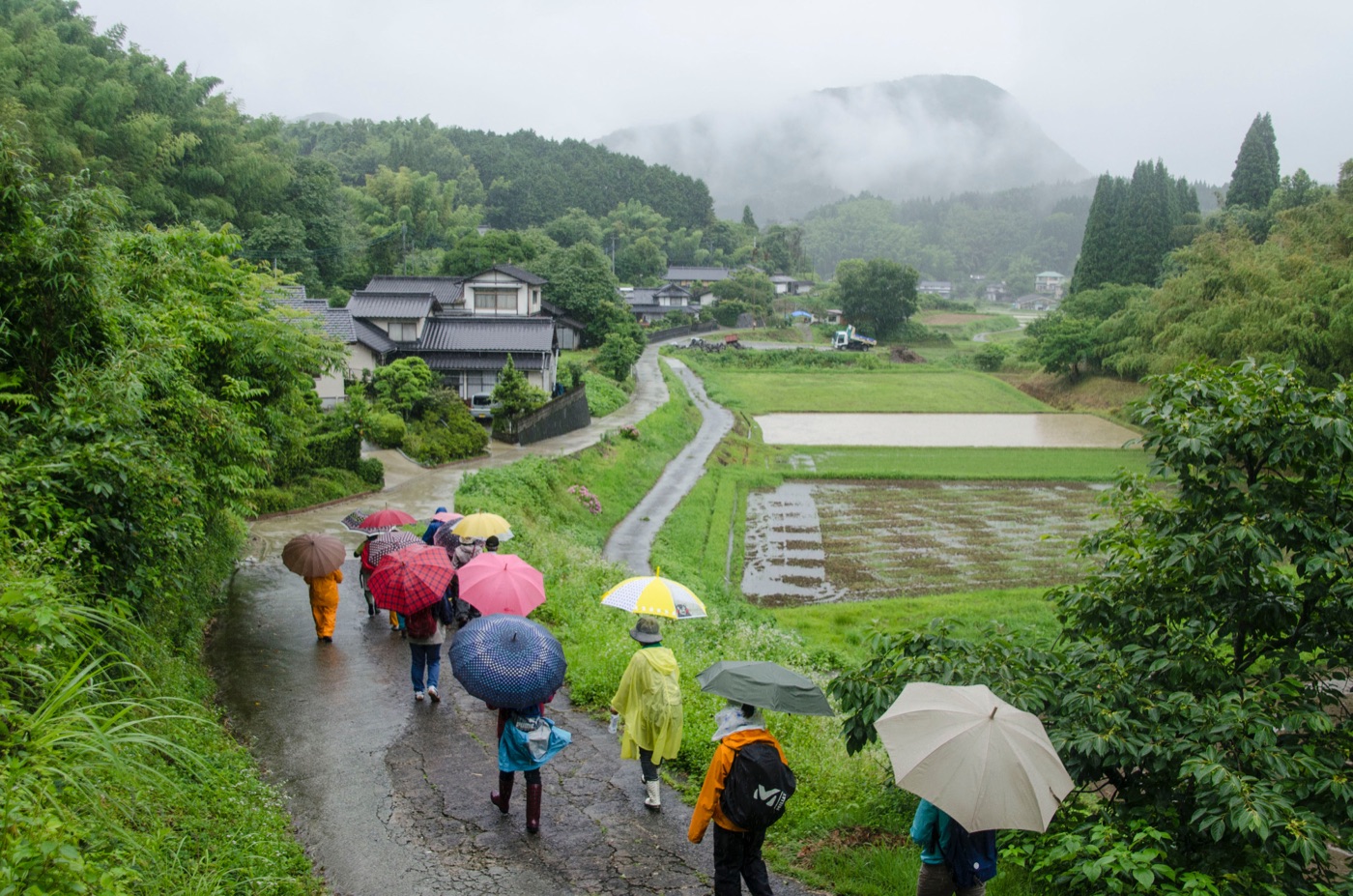 三渓コース の風景