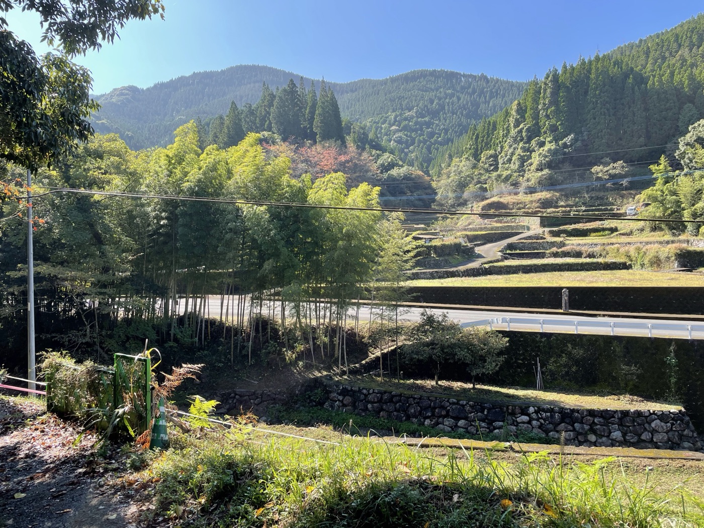 払川・坂本コース の風景