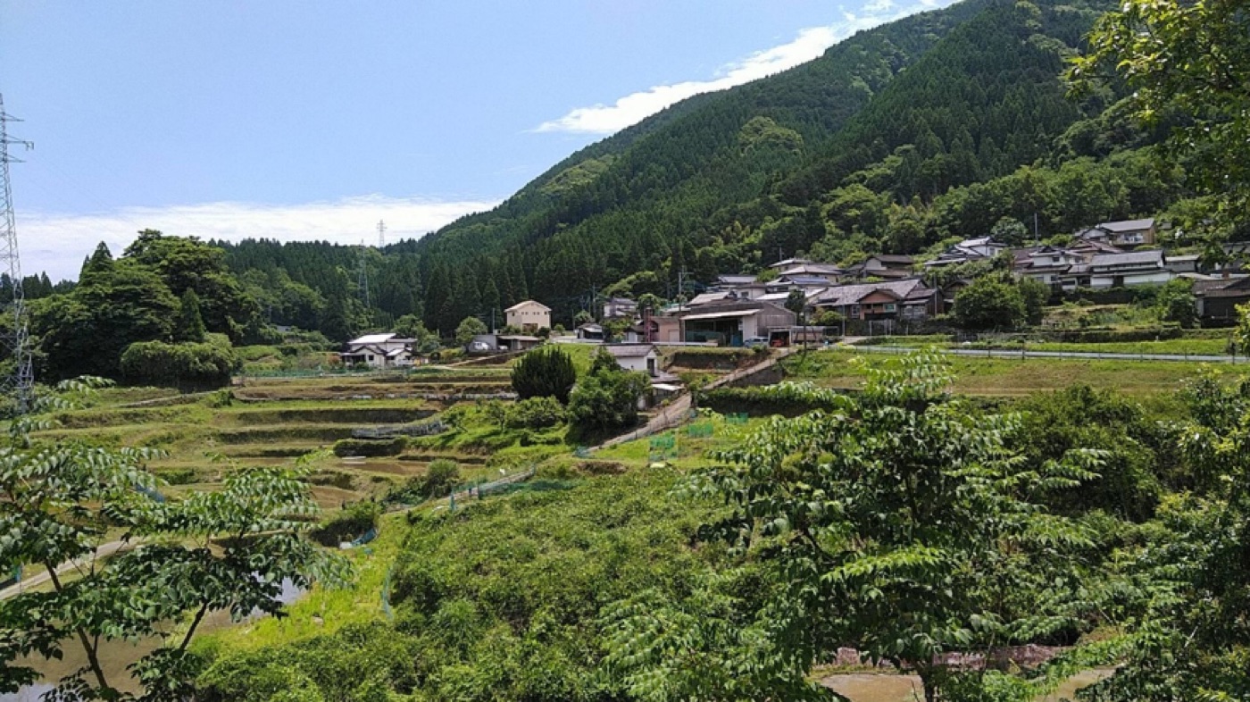 藤木コース の風景