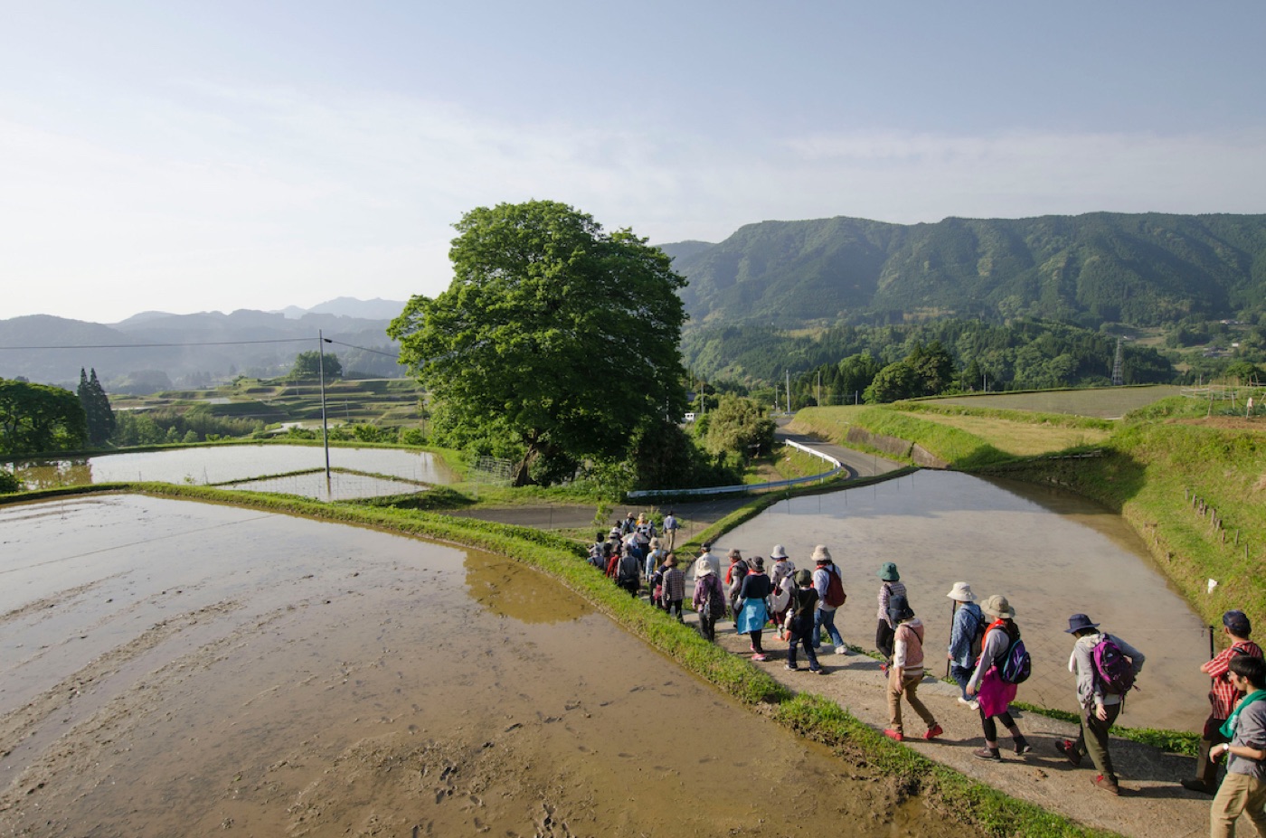 美里町のフットパスの小径