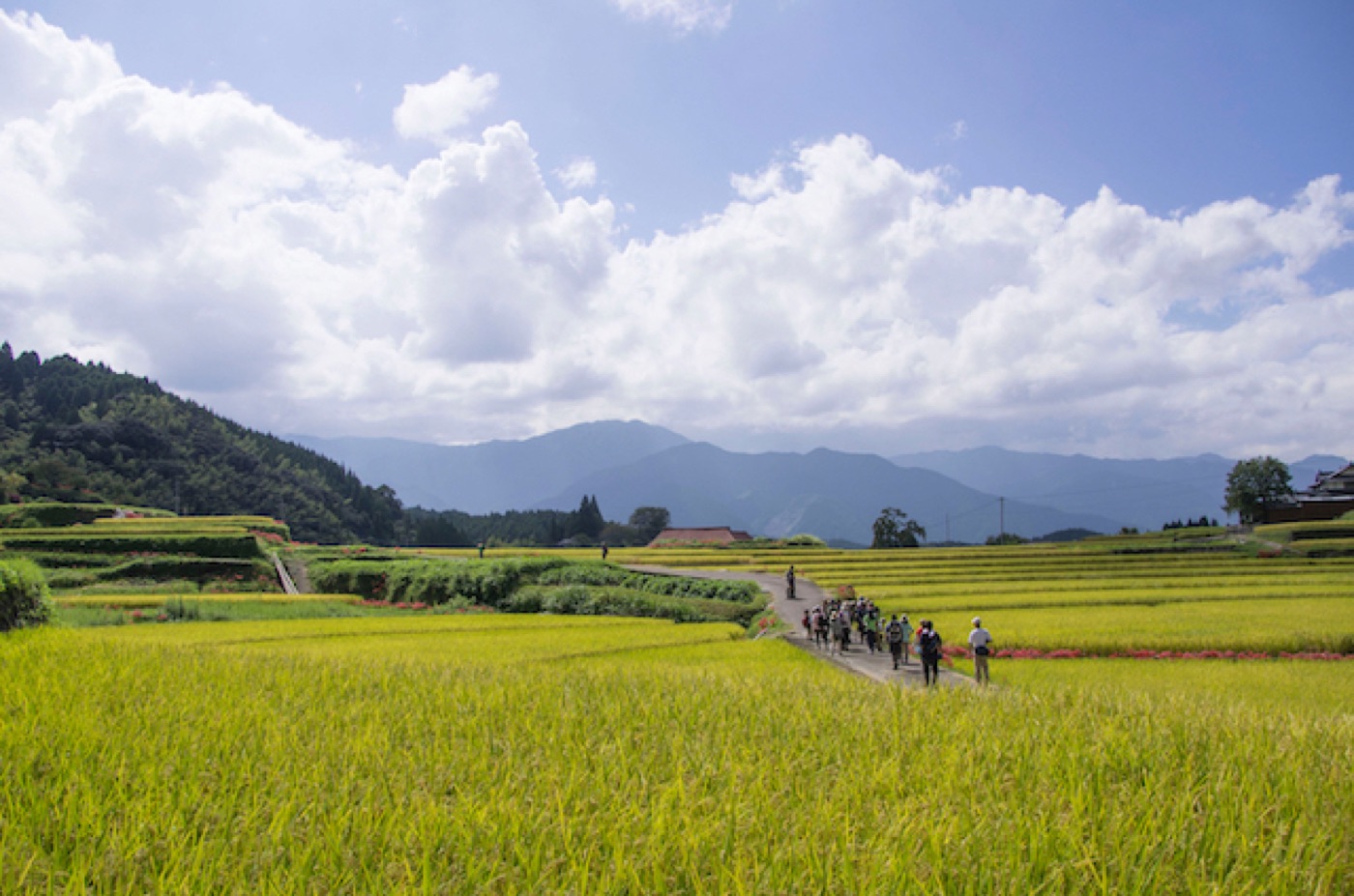 美里町のフットパス風景